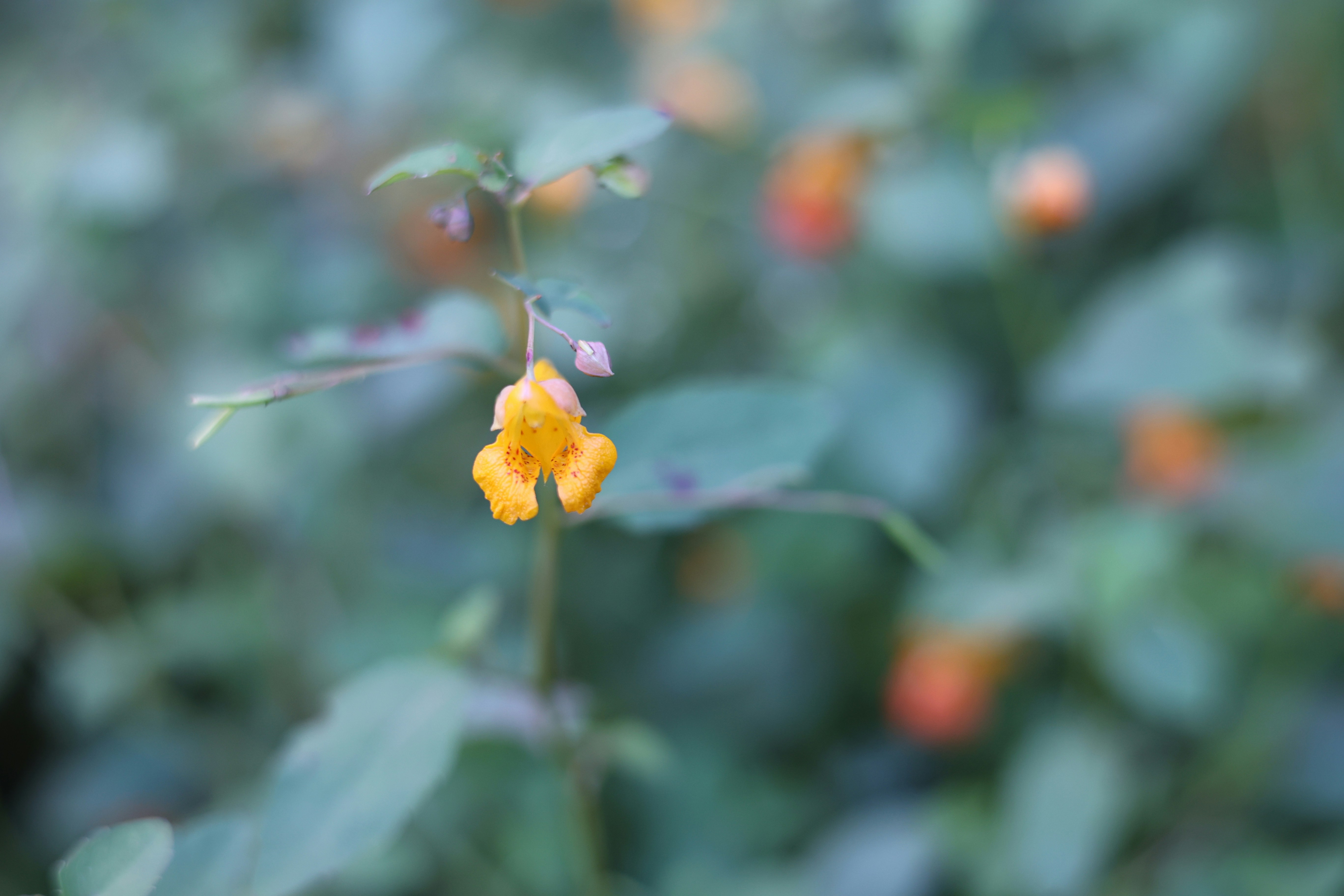 Photo by adeptcreative