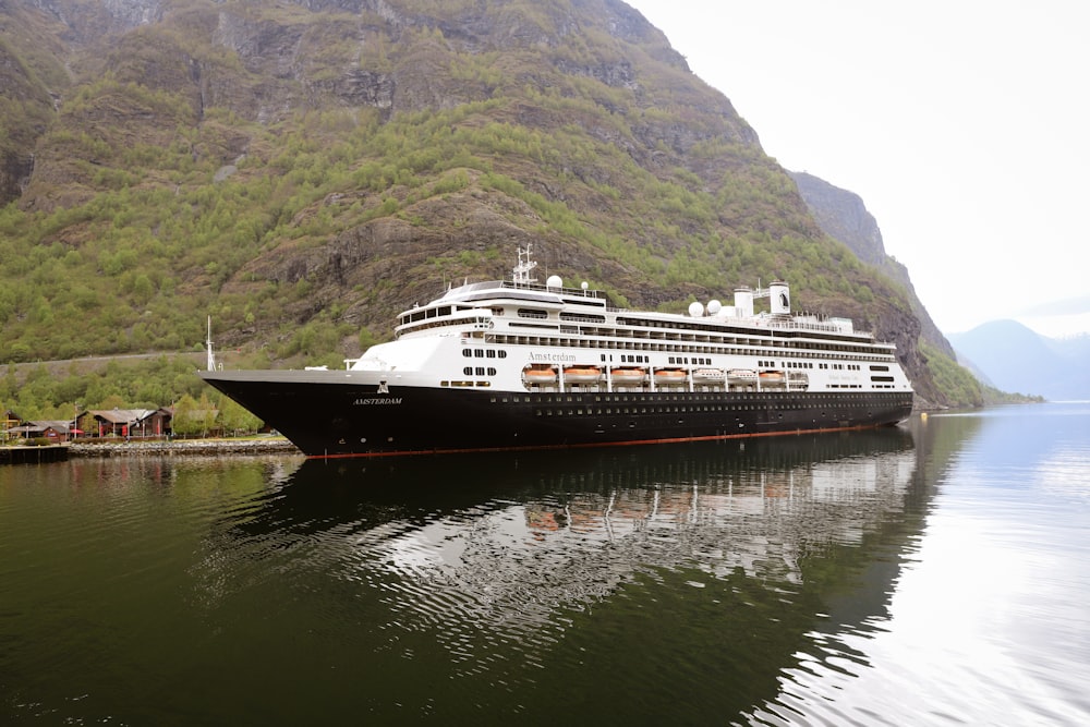 a large cruise ship docked at a dock