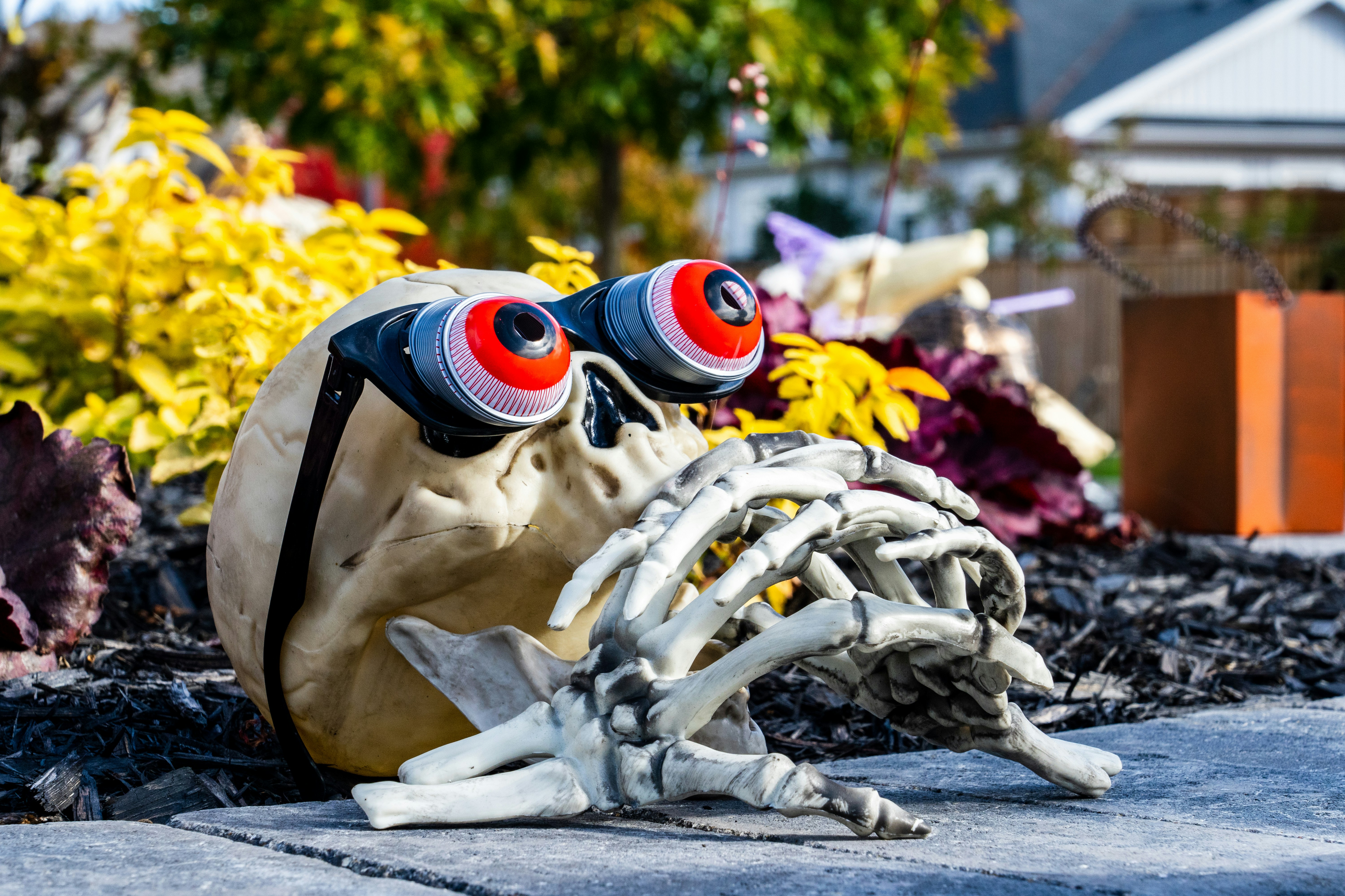 a skeleton wearing goggles laying on the ground, a Halloween decoration: a skull with crazy glasses
