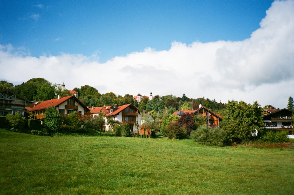 a grassy field with houses in the background