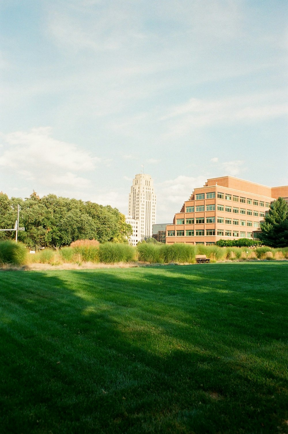 a large grassy field with a building in the background