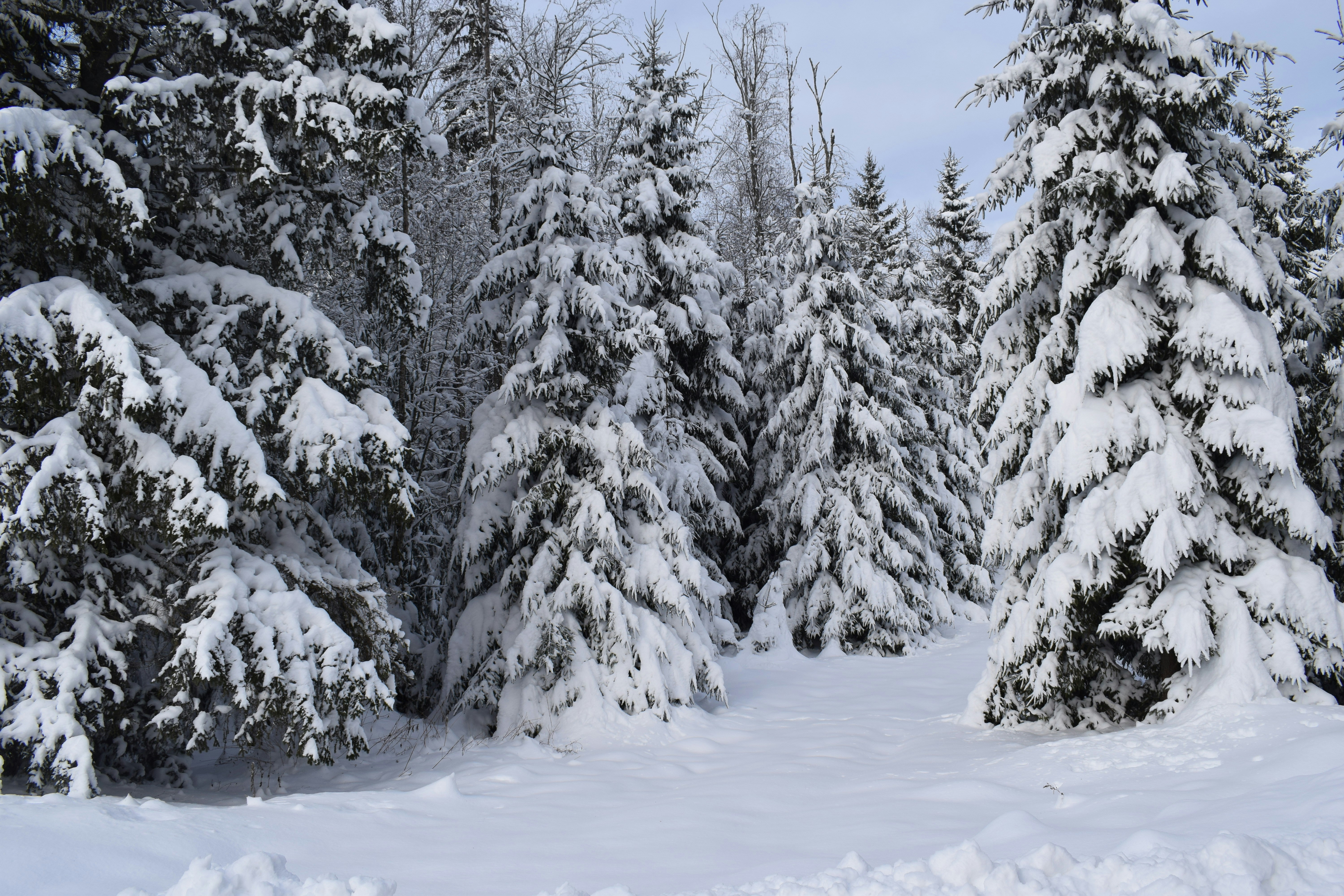 Photo by ale_is_numb