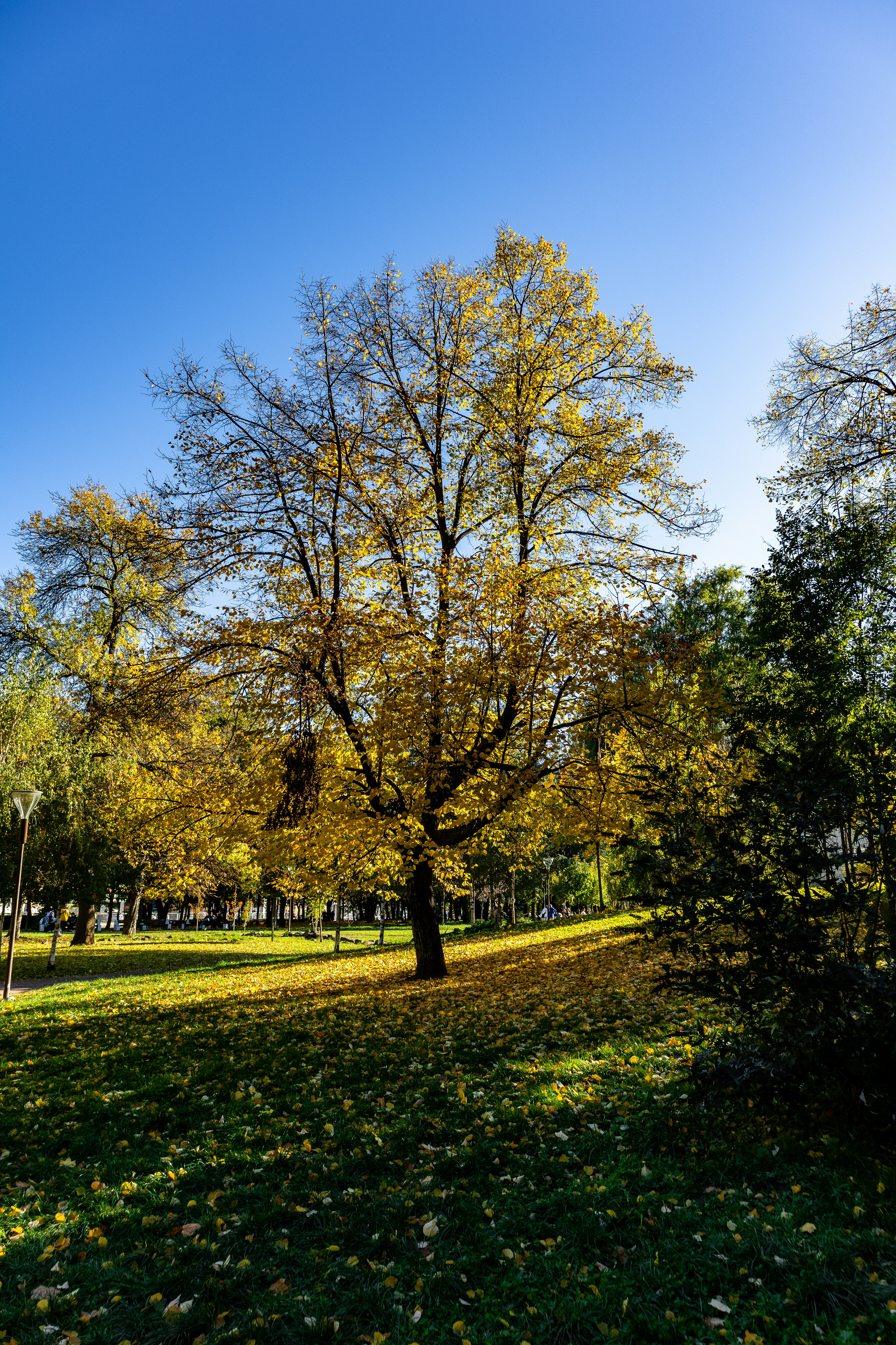 Photo by thewanderinggenk