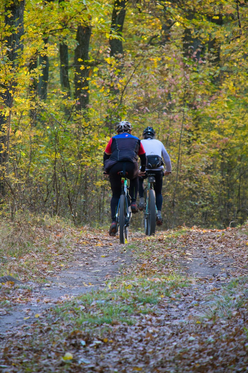 a couple of people riding bikes down a dirt road
