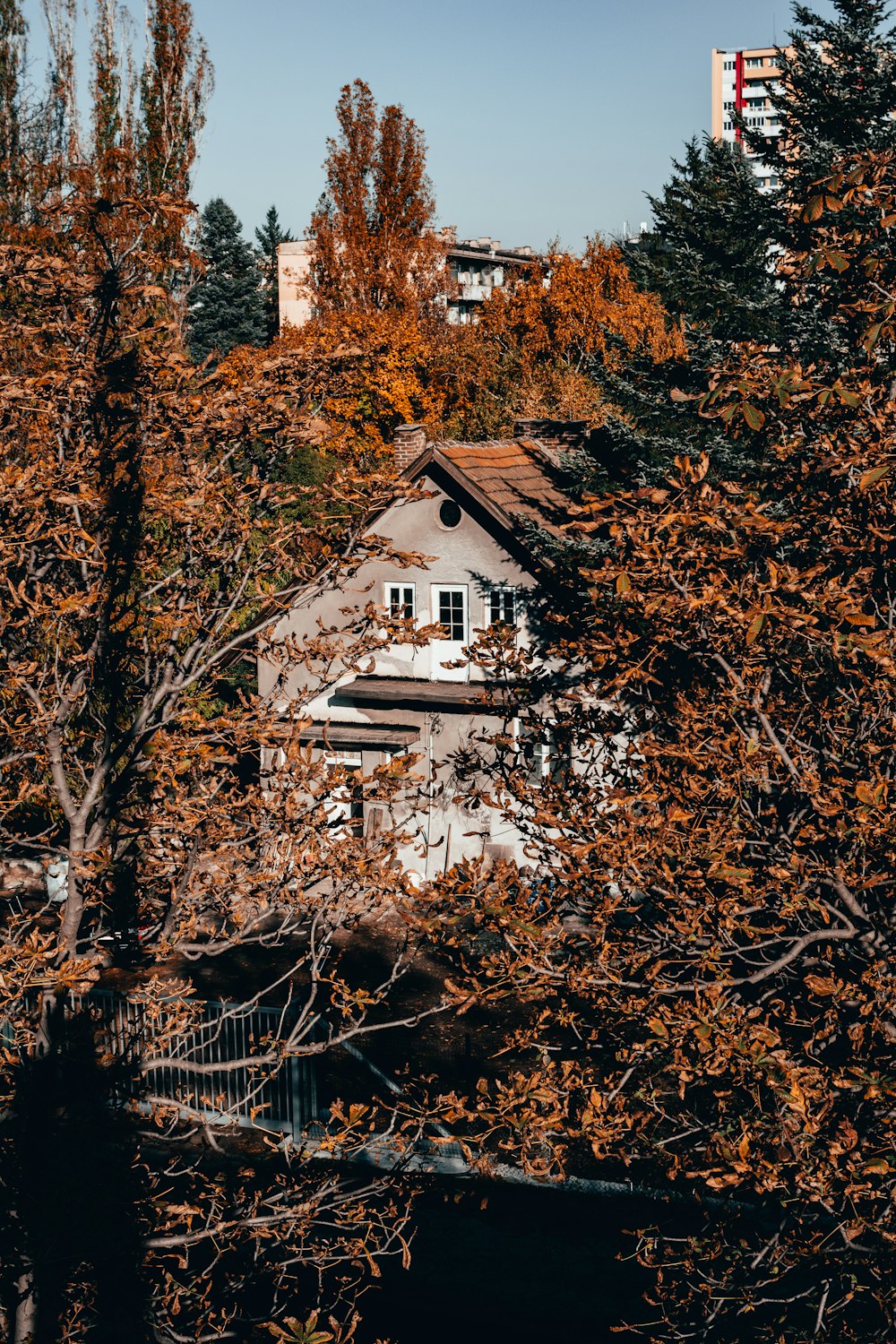 a house surrounded by trees in the fall