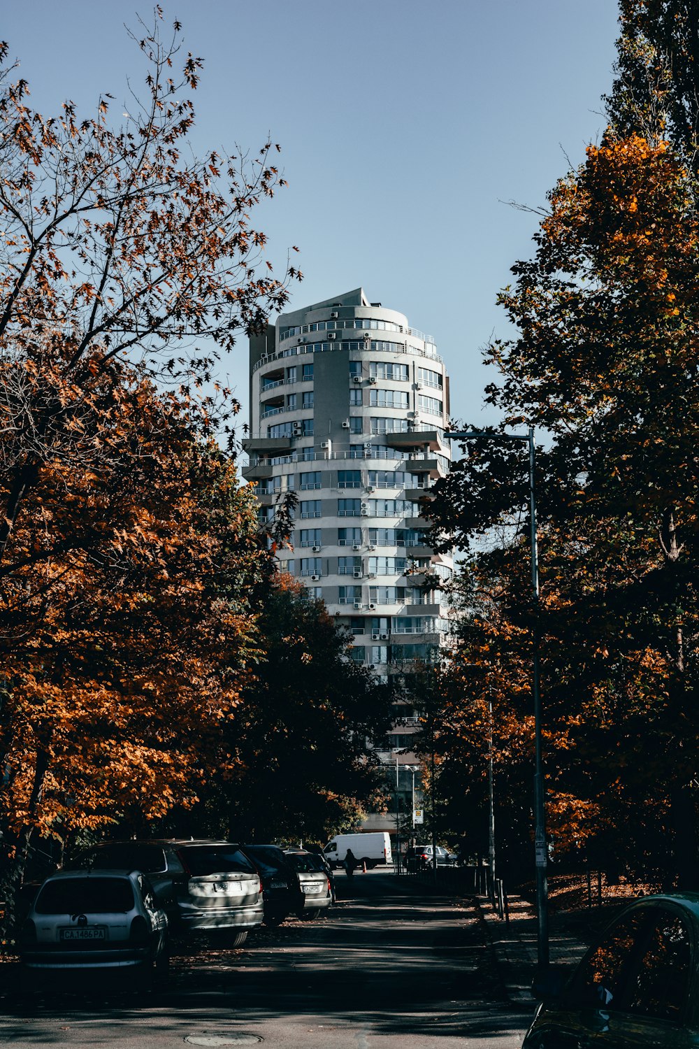 a tall white building sitting next to a forest of trees