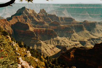 a view of the grand canyon of the grand canyon
