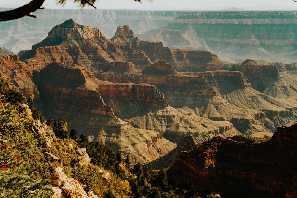 a view of the grand canyon of the grand canyon