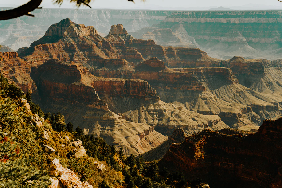 Buttes and side canyons of the Grand Canyon seen from a forested rim