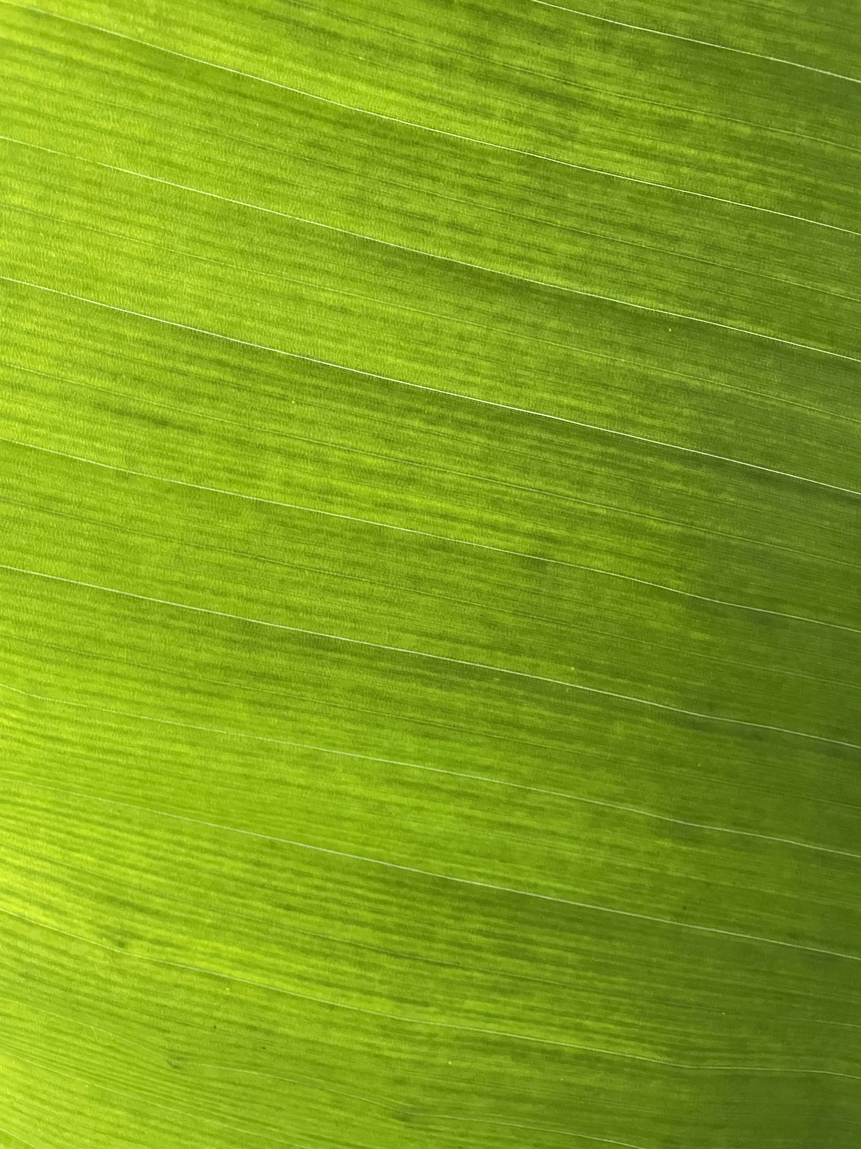 Photo by marcsello24