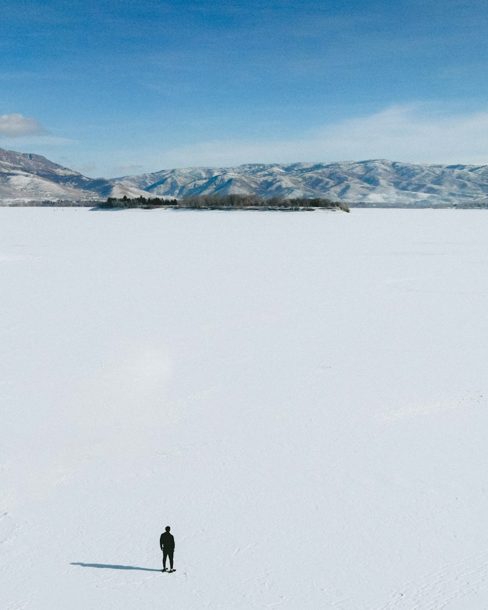 a person standing in the middle of a snow covered field