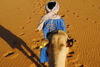 a man in a blue robe walking a camel in the desert