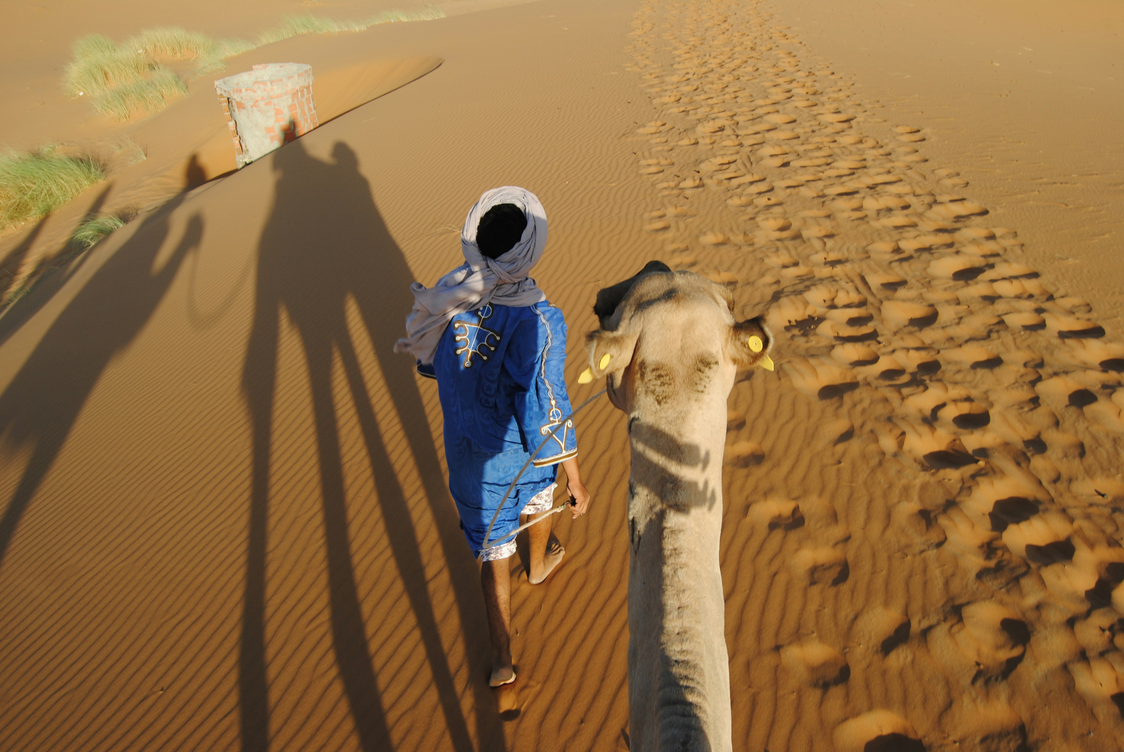 A man and a woman walking in the desert with a camel