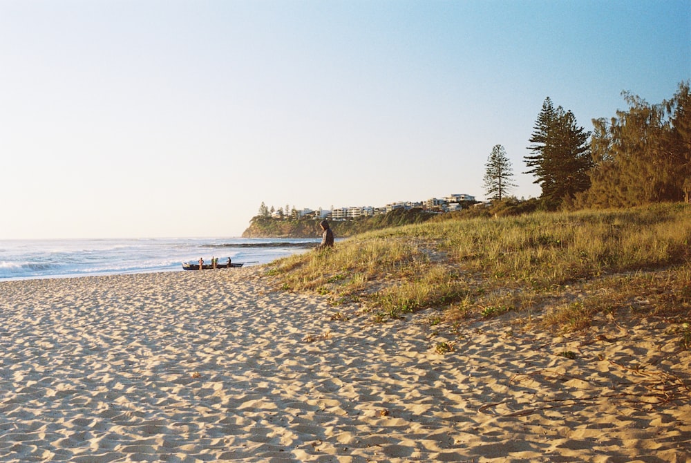 a man standing on top of a sandy beach next to the ocean