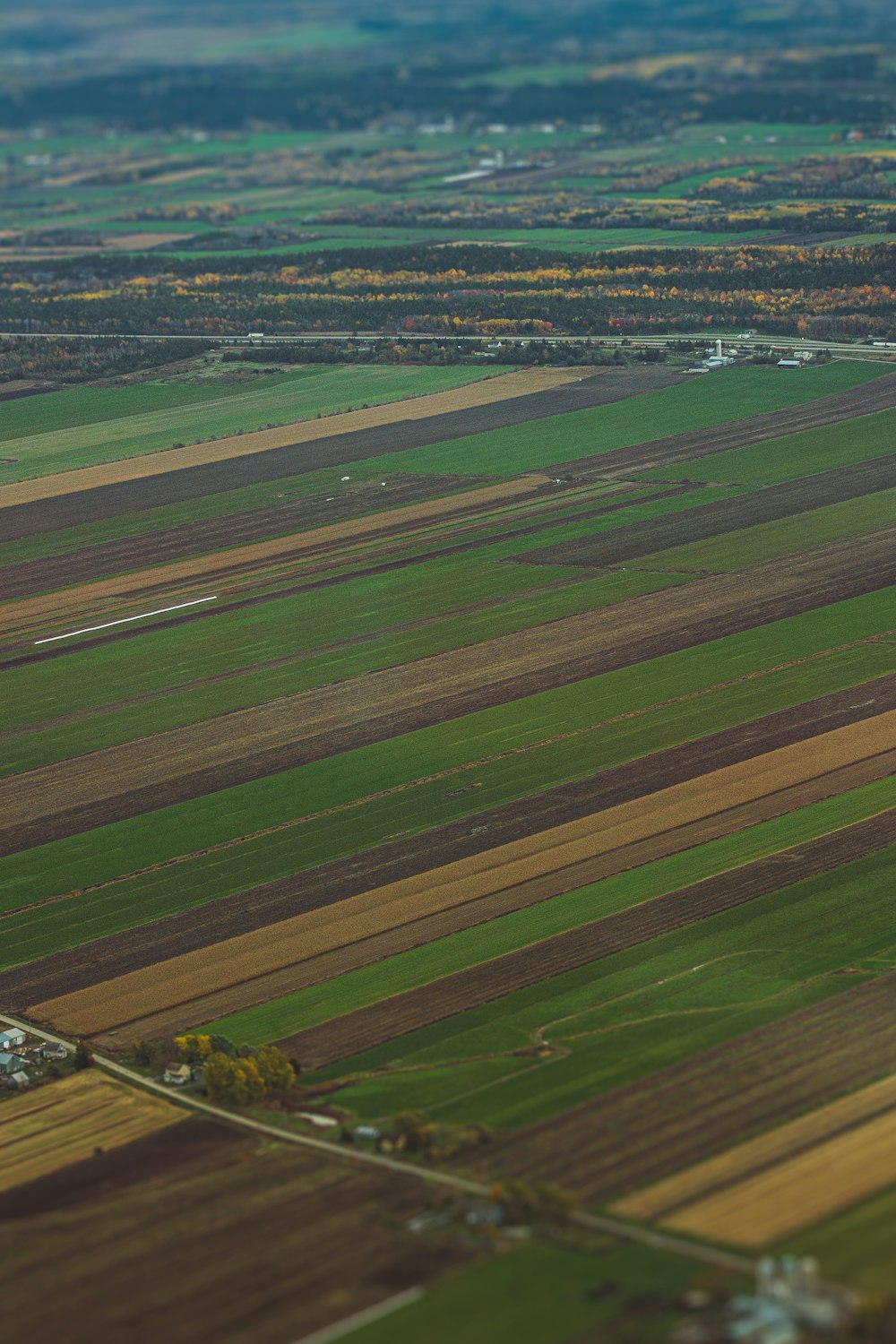 an aerial view of a large field of crops