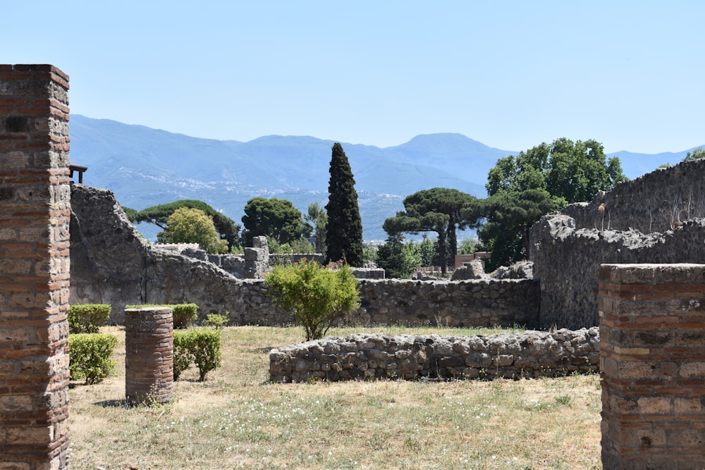 the ruins of the ancient city of pompei