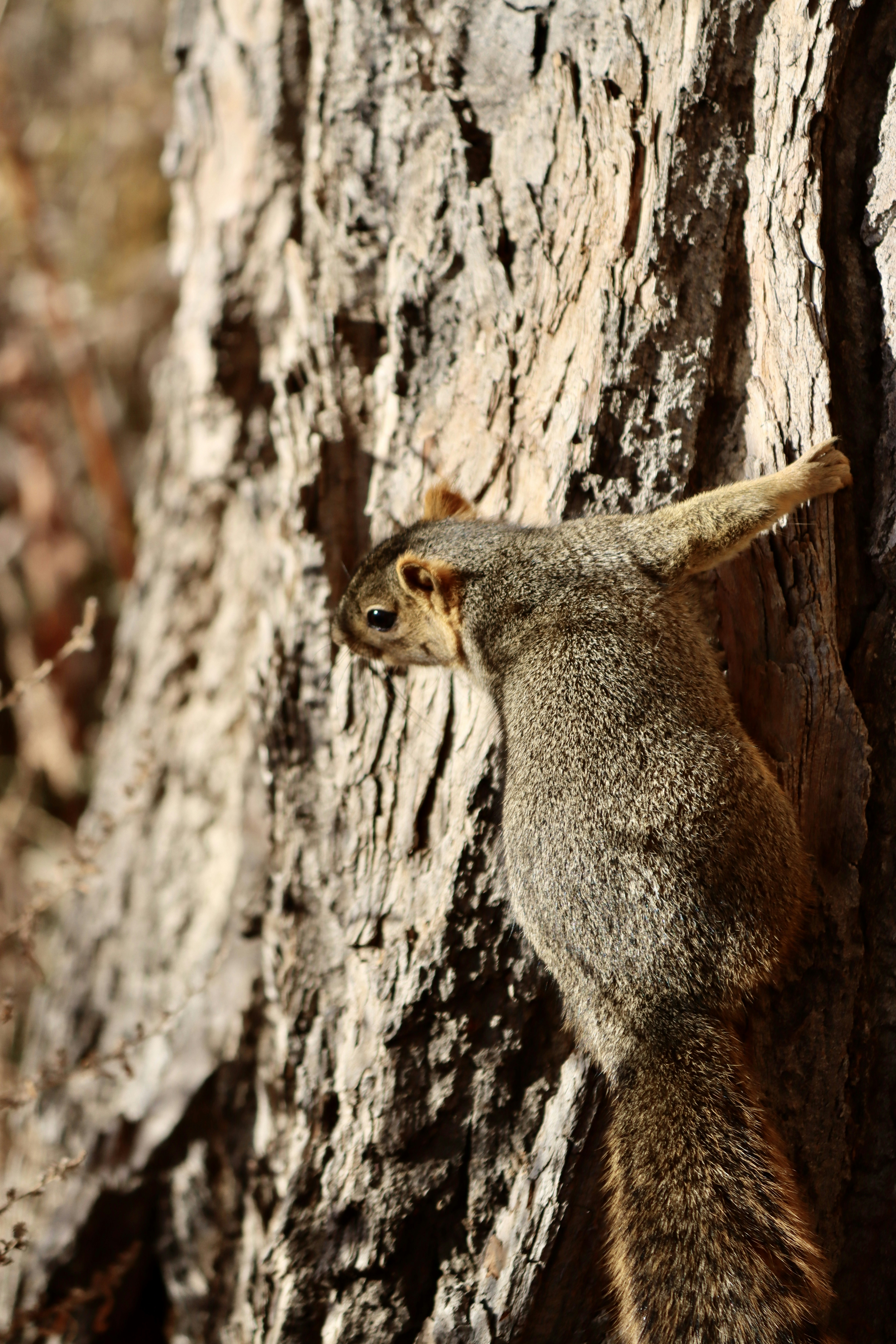 Photo by photosbytrish