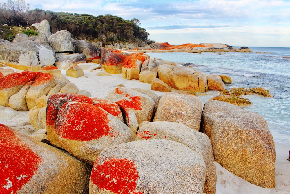 red and white rocks on a beach near the ocean