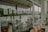 A series of illustrated sketches are displayed on a large window, facing an outdoor street scene with parked bicycles and cars. The illustrations are suspended in rows and appear to be black and white, depicting various scenes or characters. Reflections in the glass show greenery and a cloudy sky.