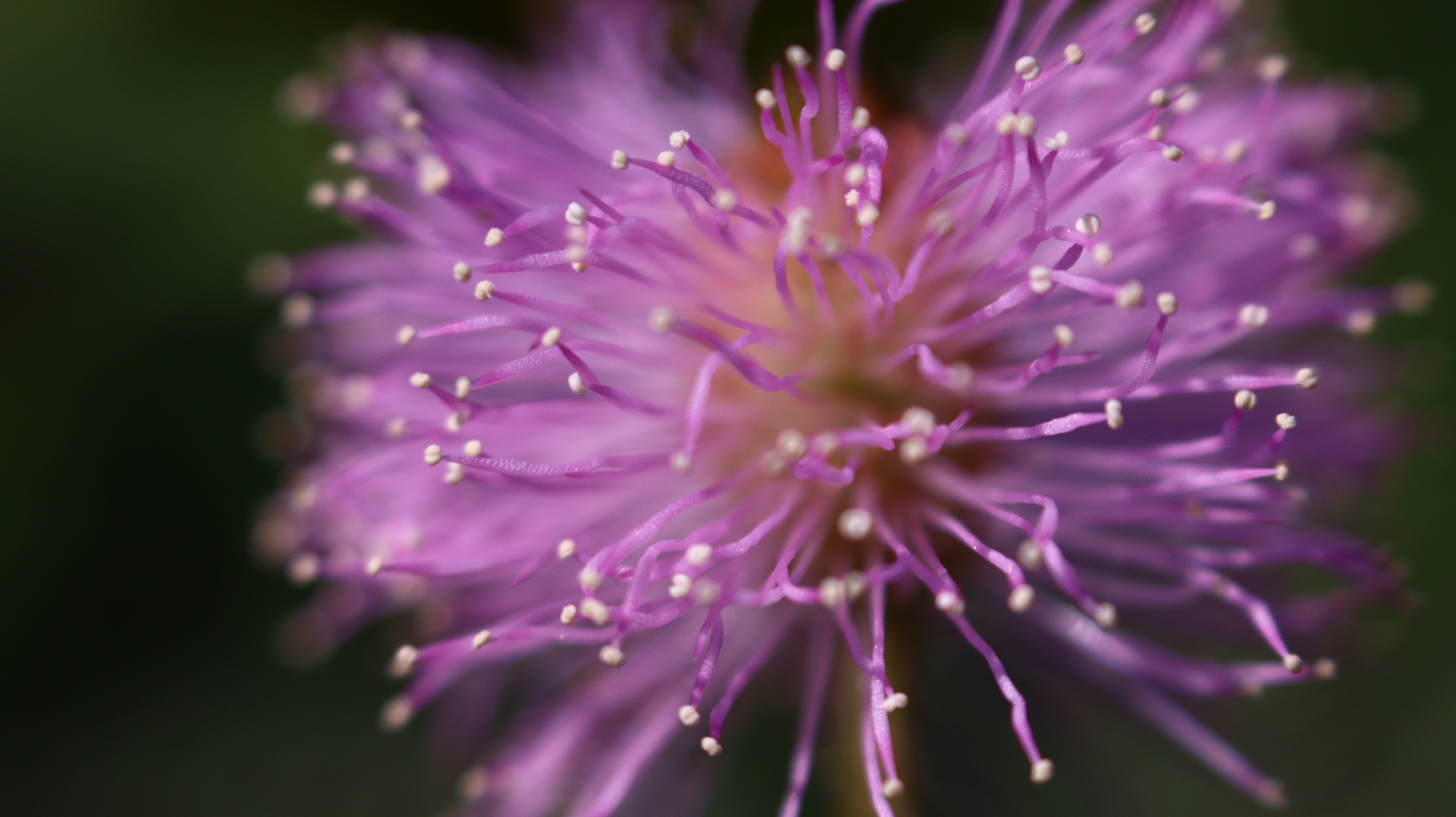 Photo by ajaylakshman2005