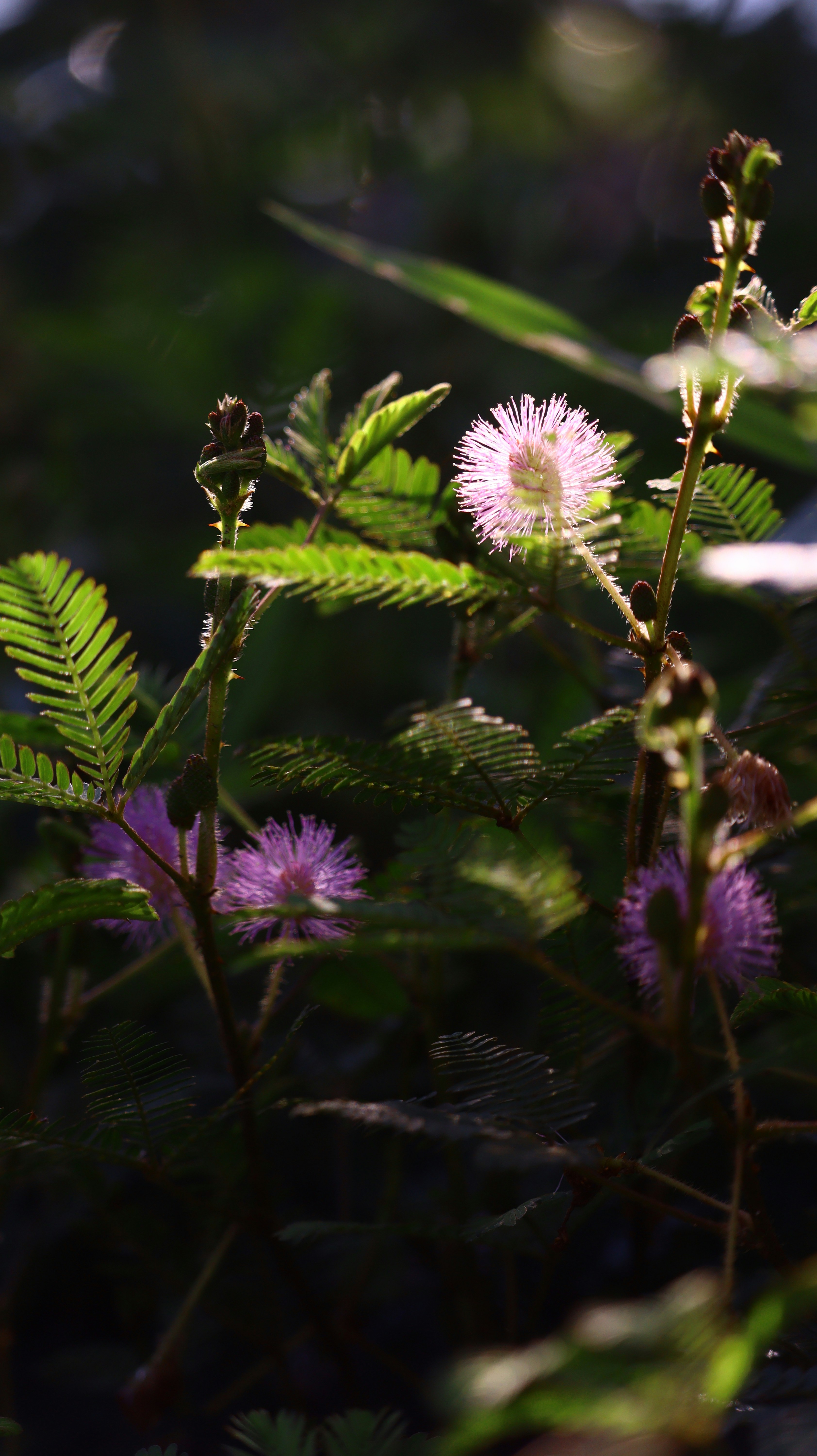 Photo by ajaylakshman2005