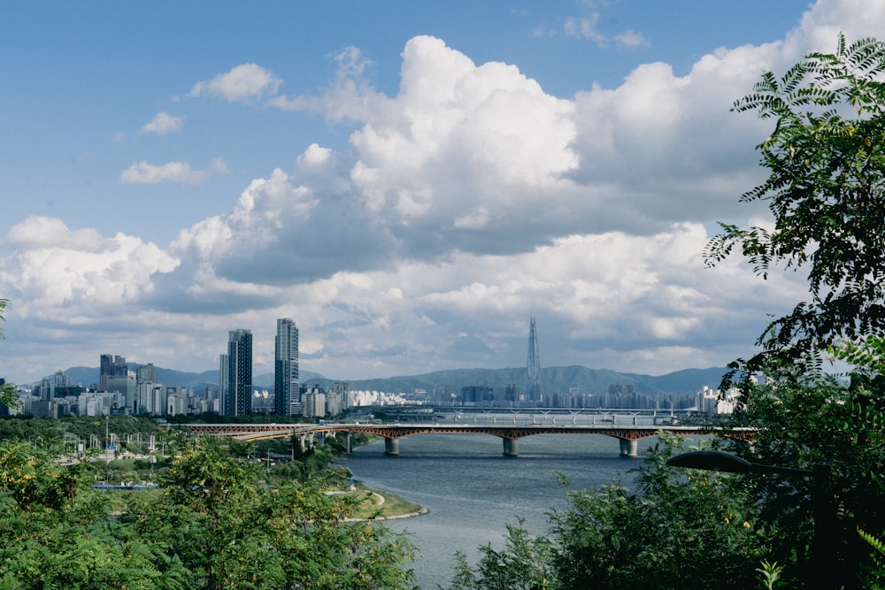 a bridge over a river with a city in the background