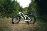 A white electric bicycle is positioned on a narrow dirt path that cuts through a green, wooded area. The bike is situated slightly to the left, with large tires and a sturdy frame, suggesting the capability for off-road riding. Surrounding the path, dense shrubs and trees create a lush backdrop.