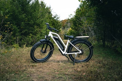 a bicycle parked on a dirt path in the woods