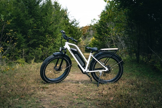 A white electric bicycle is positioned on a narrow dirt path that cuts through a green, wooded area. The bike is situated slightly to the left, with large tires and a sturdy frame, suggesting the capability for off-road riding. Surrounding the path, dense shrubs and trees create a lush backdrop.