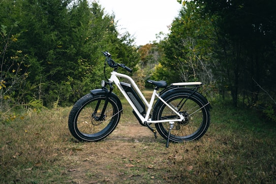 A white electric bicycle is positioned on a narrow dirt path that cuts through a green, wooded area. The bike is situated slightly to the left, with large tires and a sturdy frame, suggesting the capability for off-road riding. Surrounding the path, dense shrubs and trees create a lush backdrop.