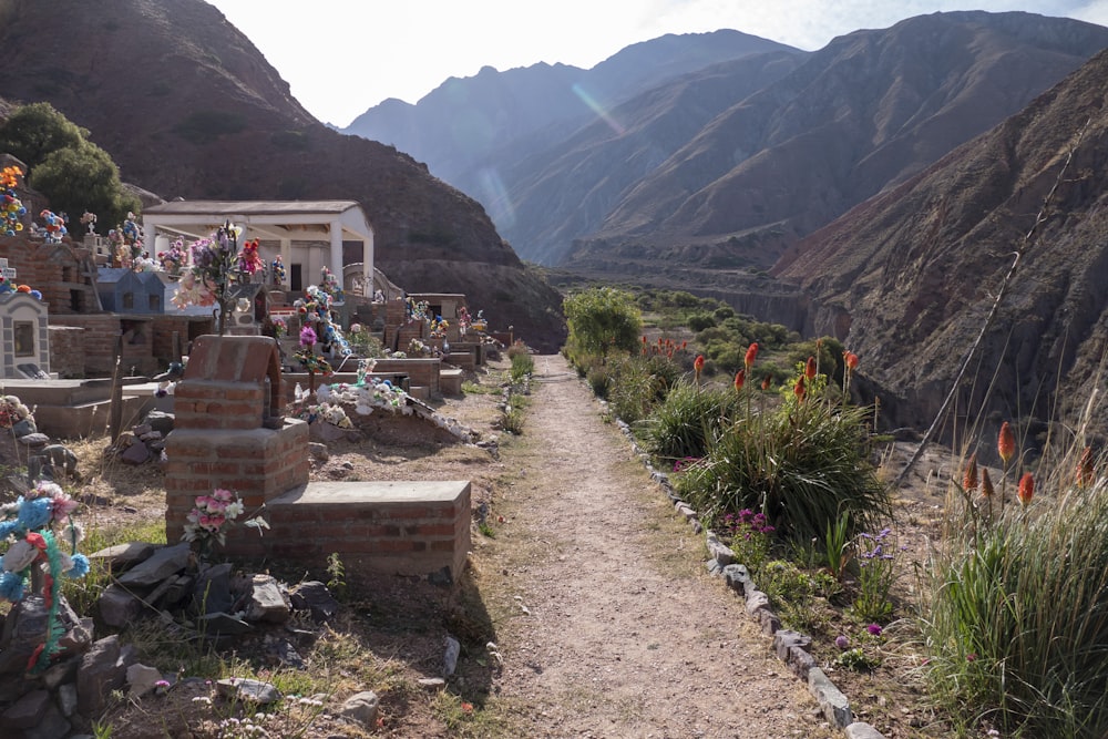 a dirt path leading to a building in the mountains