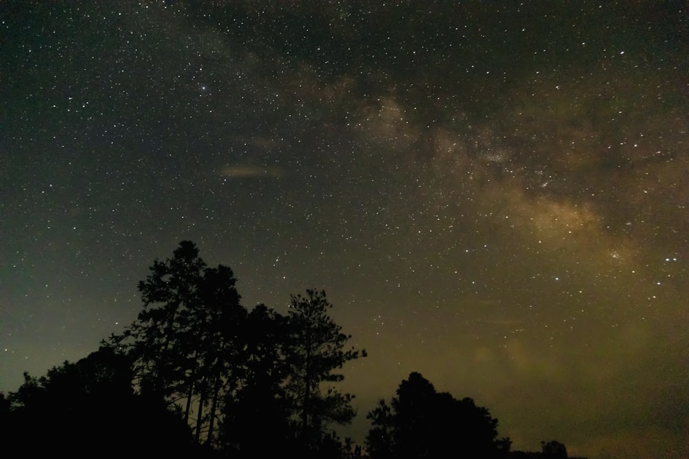 the night sky is filled with stars and trees