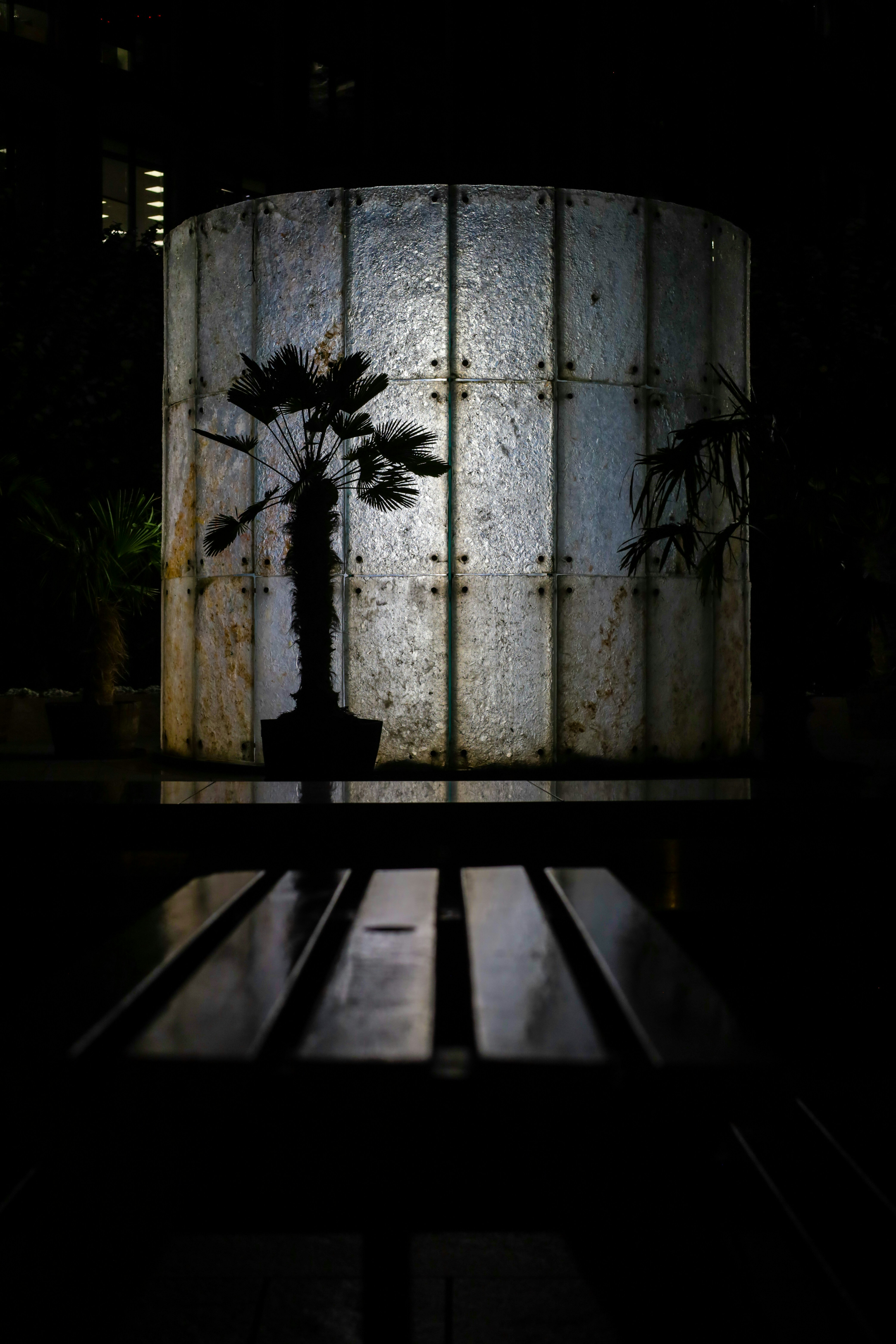 Photo by grievek1610begur