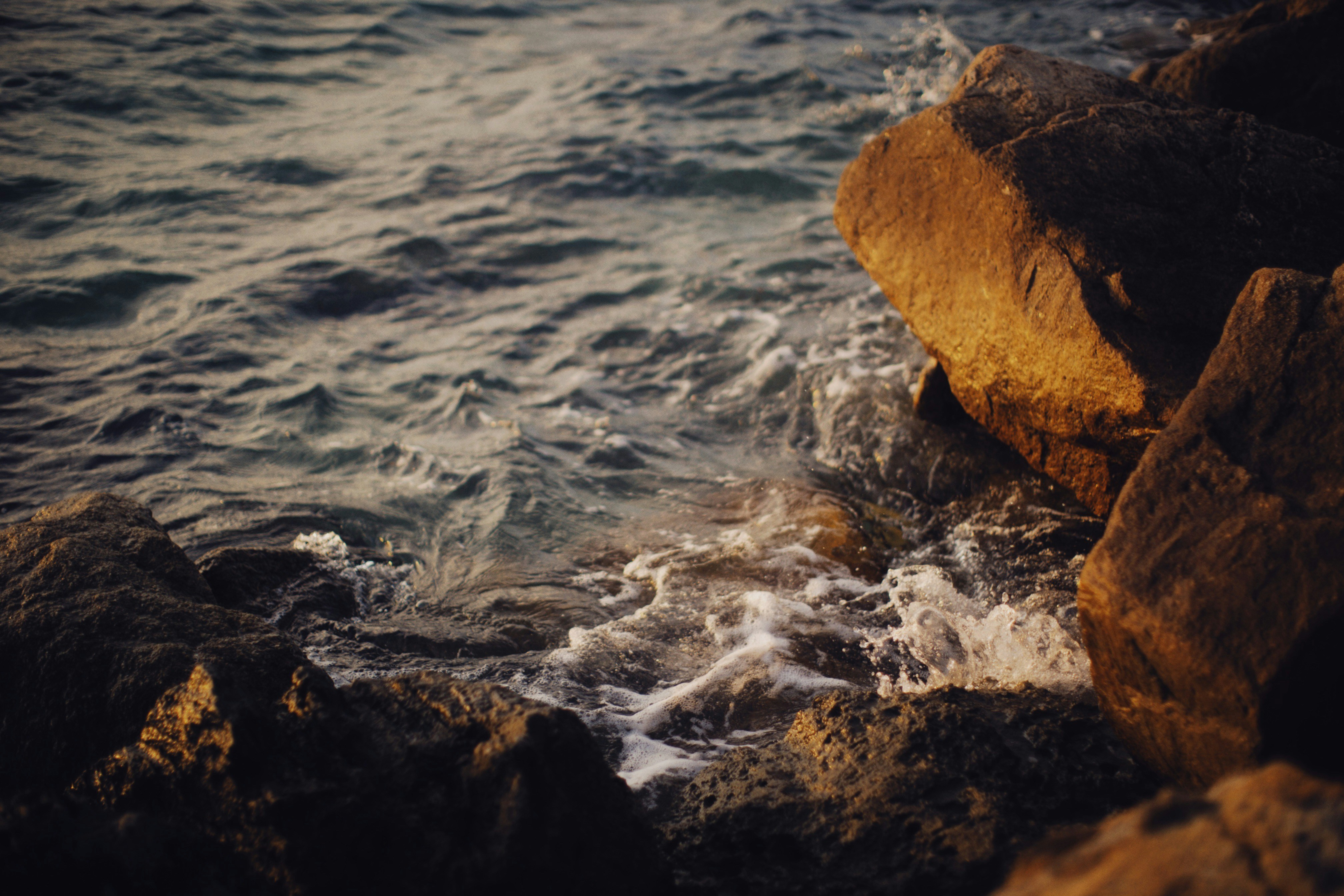 Photo by alexeydemidov