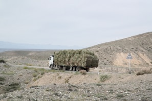 a semi truck hauling a load of hay on the side of a road