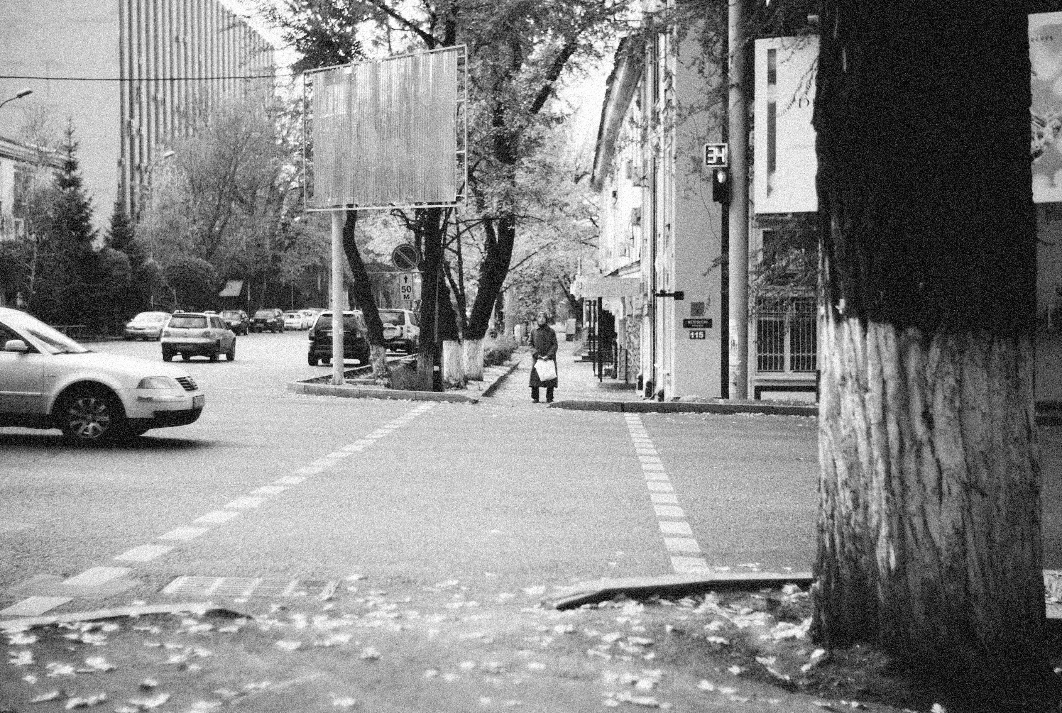 Photo by alexeydemidov