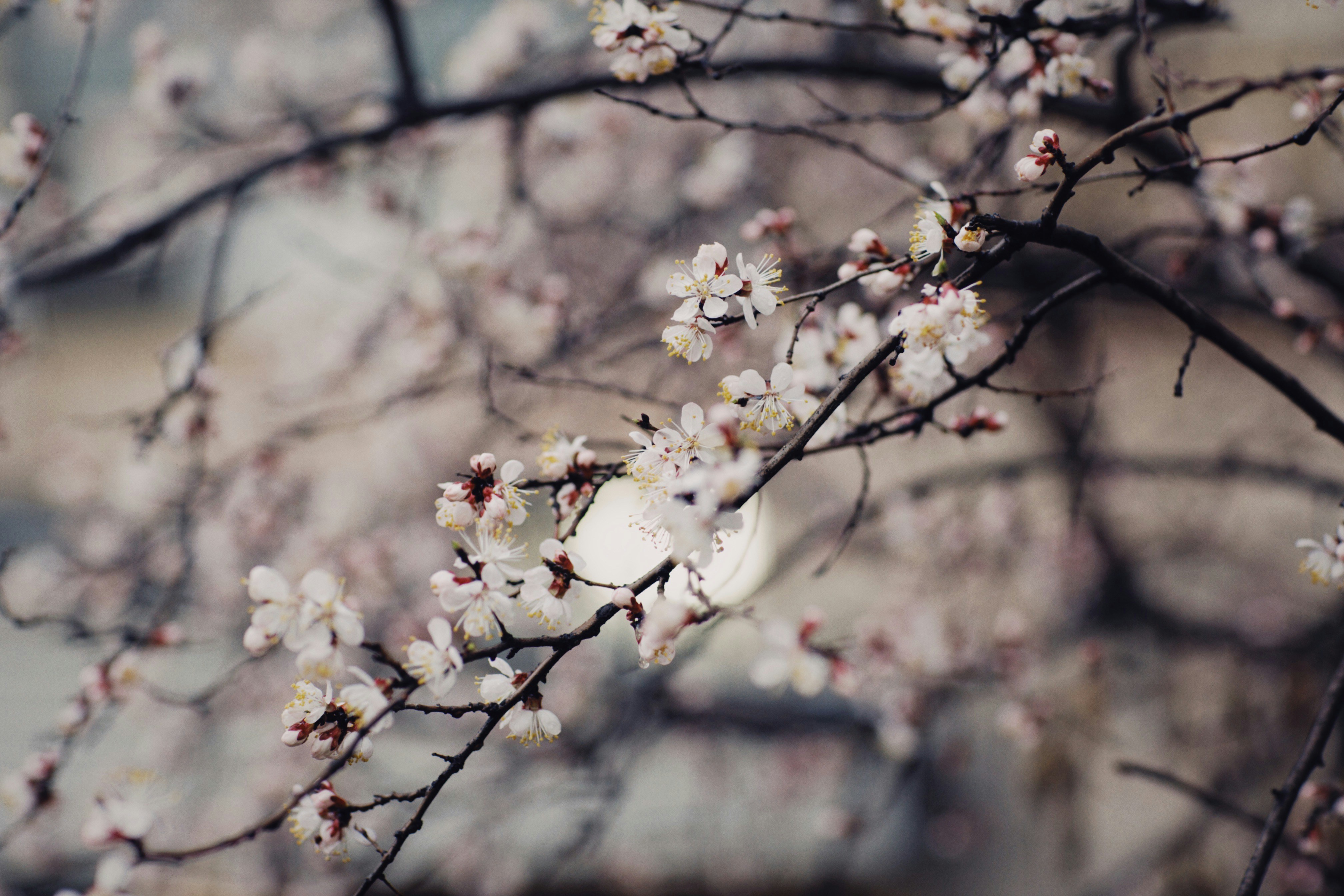 Photo by alexeydemidov