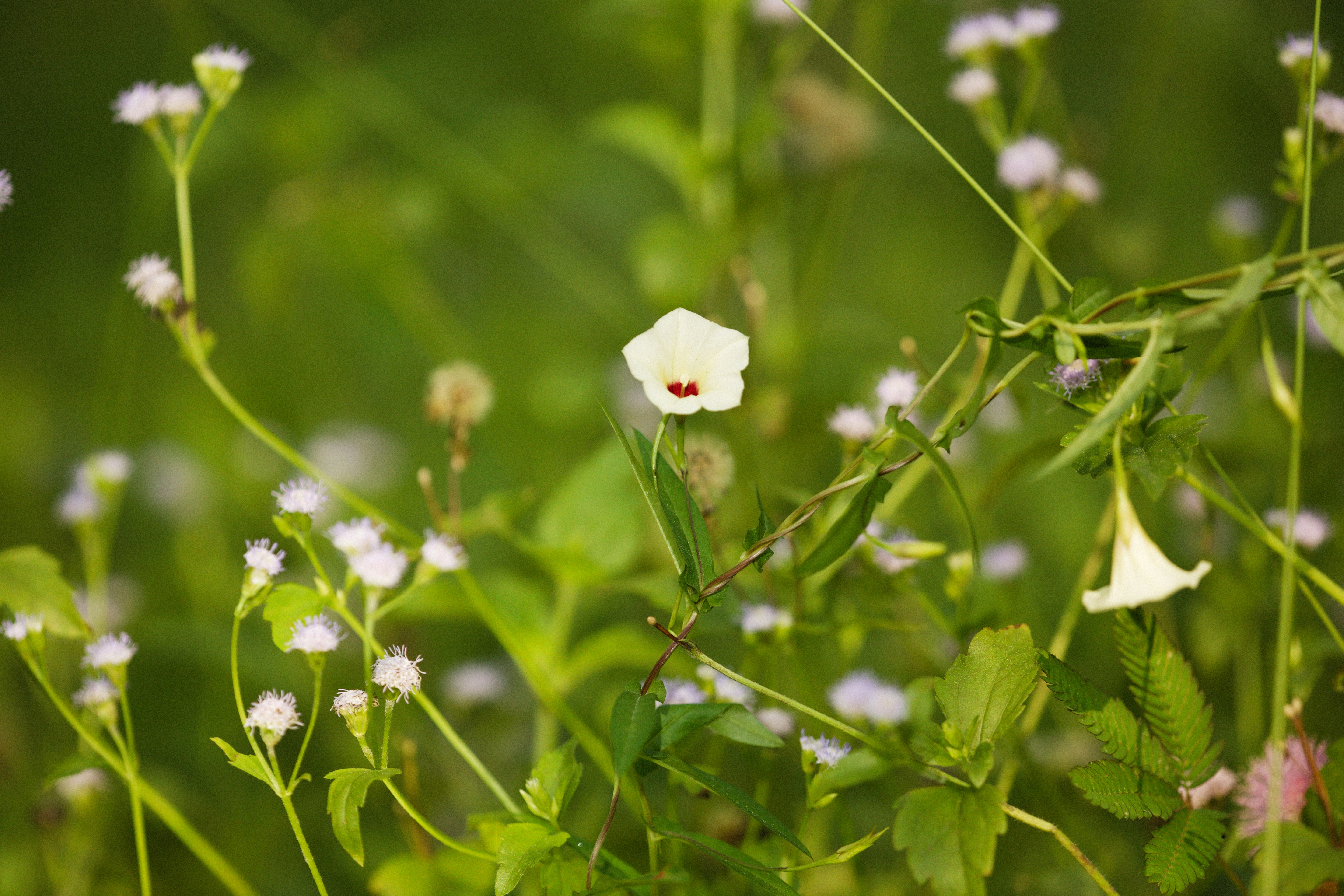 Photo by alexeydemidov