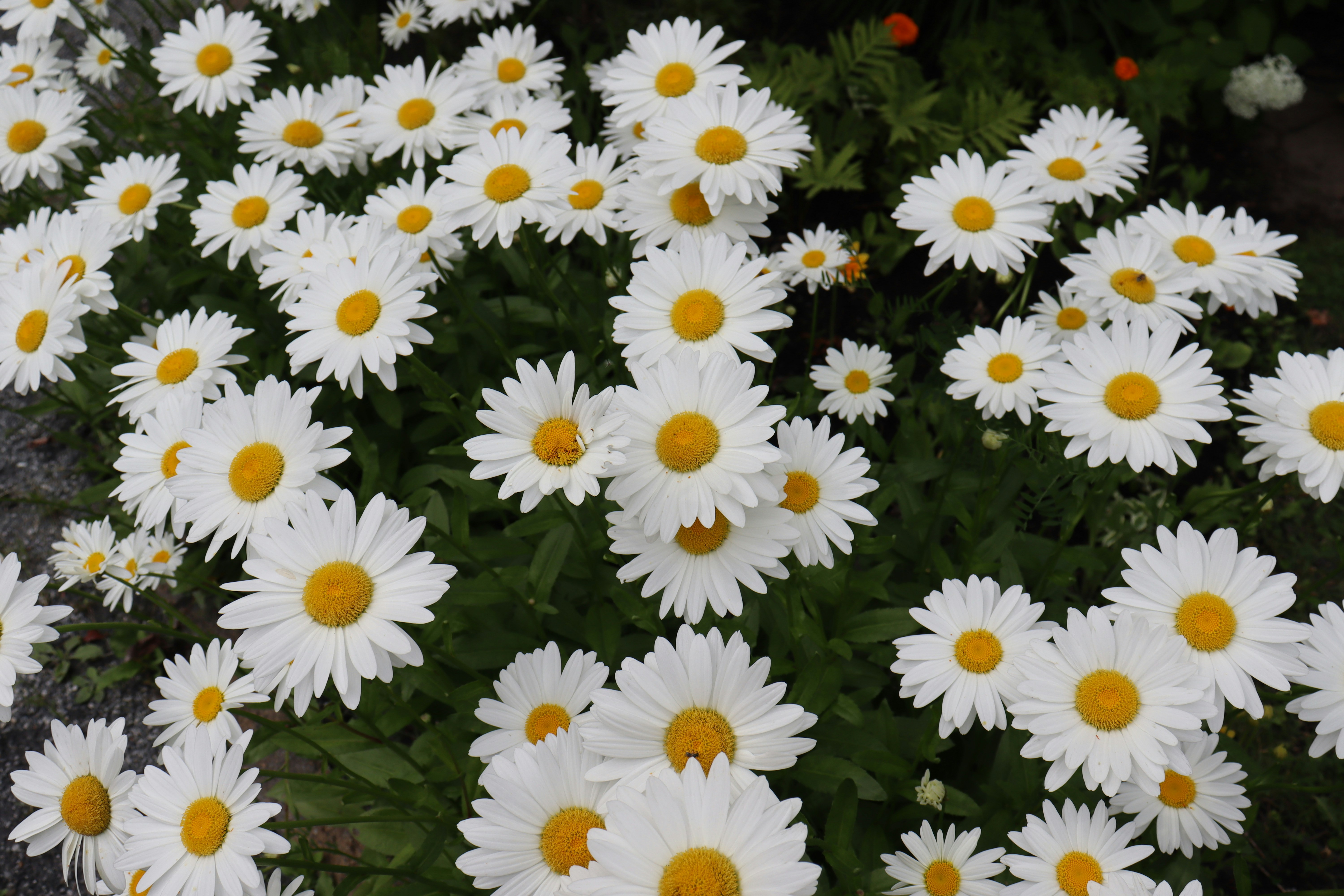 Photo by dosiu8327_2ud