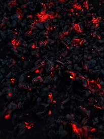 Dark charcoal pieces glow with vivid red and orange embers, creating a striking contrast against the surrounding blackened ash. The overall appearance suggests smoldering coals emitting warmth and light.