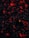 Dark charcoal pieces glow with vivid red and orange embers, creating a striking contrast against the surrounding blackened ash. The overall appearance suggests smoldering coals emitting warmth and light.