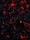 Dark charcoal pieces glow with vivid red and orange embers, creating a striking contrast against the surrounding blackened ash. The overall appearance suggests smoldering coals emitting warmth and light.
