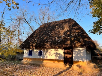 A traditional house with a thatched roof is surrounded by autumn trees with fallen leaves on the ground. The sky is clear and blue, creating a serene rural scene. Shadows of branches are cast on the structure, adding texture and depth.