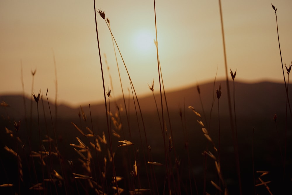 the sun is setting over a mountain range