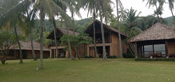 A large, rustic villa complex surrounded by lush greenery and tall palm trees. It features traditional thatched roofs and wooden structures, set against a backdrop of forested hills.