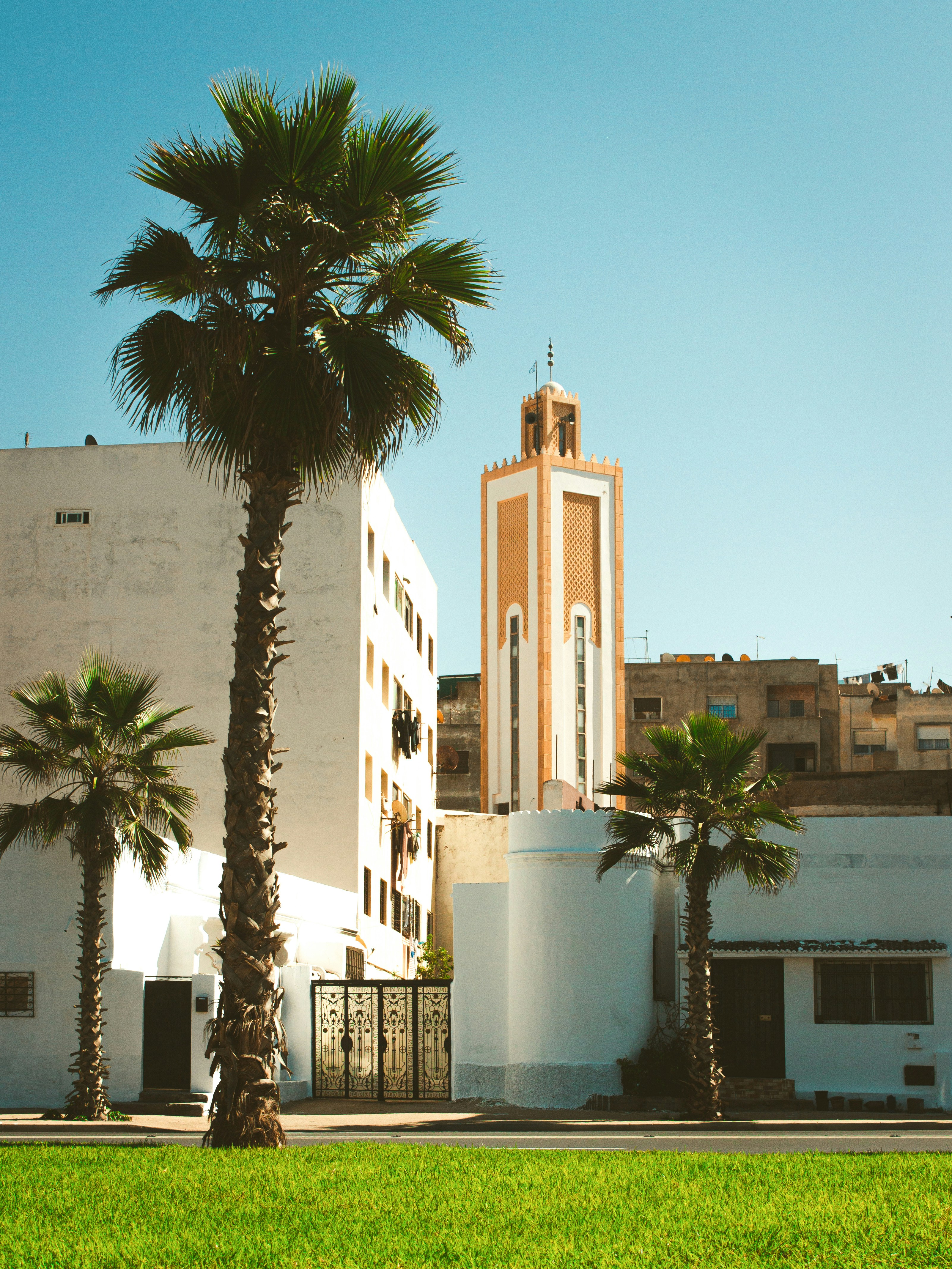 Photo by 3azzy_grapher