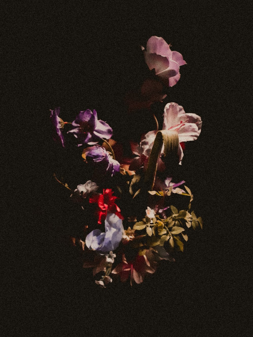 a bunch of flowers that are in the dark