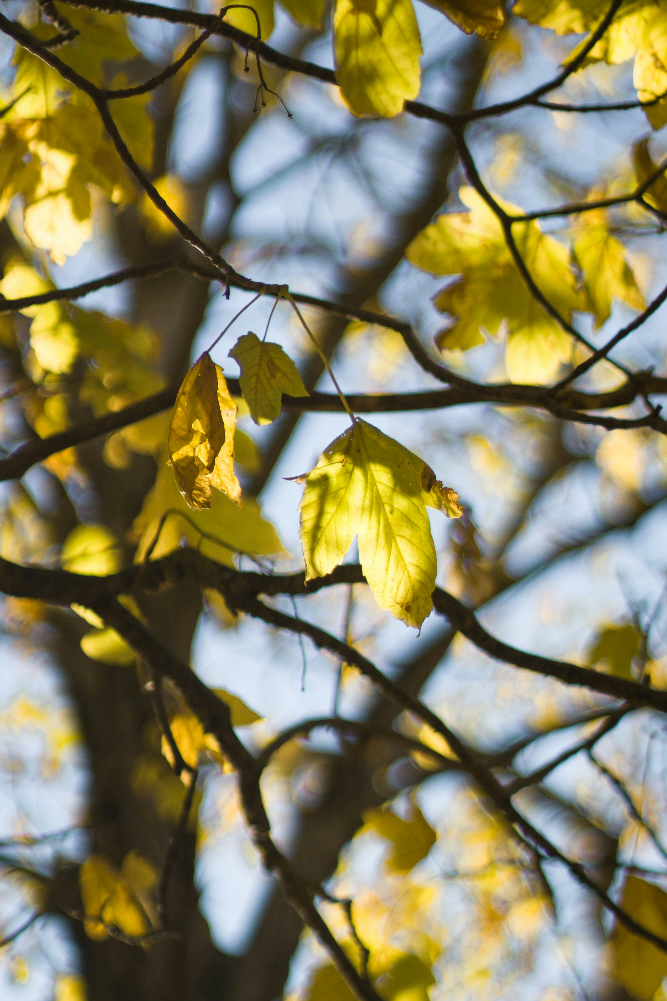 Photo by fethibenattallah