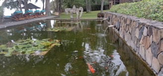 A tranquil pond surrounded by a stone wall features lily pads and several orange fish swimming. On one side, there is a line of deck chairs with a canopy structure nearby, set against a backdrop of trees. In the distance, a sculpture resembling a horse can be seen on the grass.