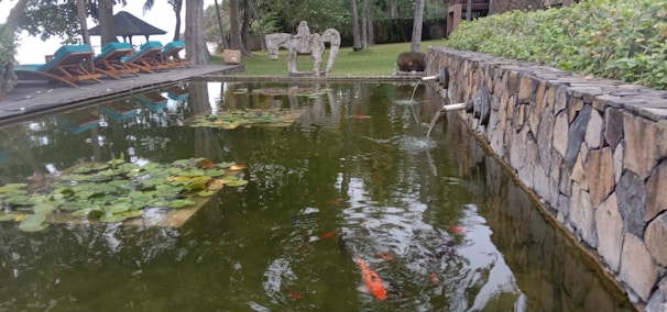 A tranquil pond surrounded by a stone wall features lily pads and several orange fish swimming. On one side, there is a line of deck chairs with a canopy structure nearby, set against a backdrop of trees. In the distance, a sculpture resembling a horse can be seen on the grass.